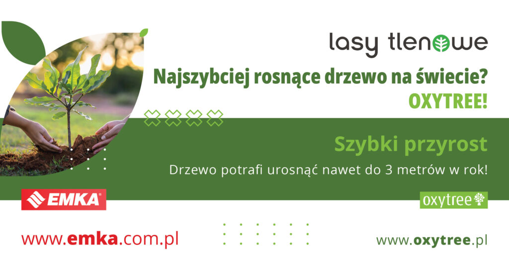 Drzewa tlenowe w Kędzierzynie-Koźlu