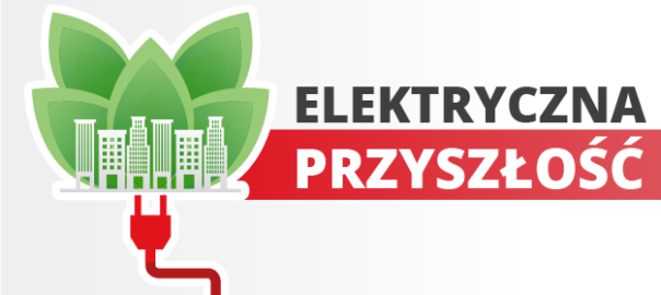 Elektryczna Przyszłość