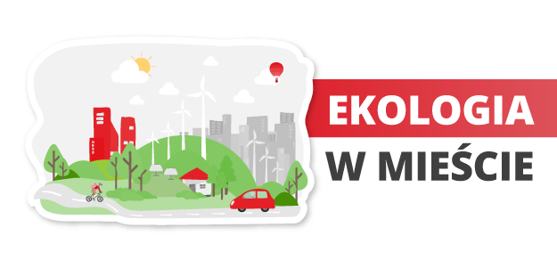 Jak stworzyć zielone oazy?